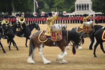 Idées de fêtes d'anniversaire 18ème anniversaire à Londres