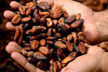 Liste des pays producteurs de fèves de cacao