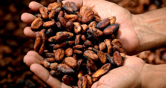 Liste des pays producteurs de fèves de cacao
