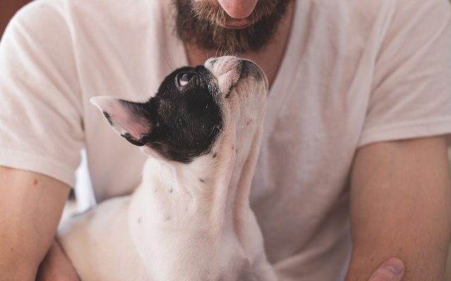 Loi sur l'habitabilité