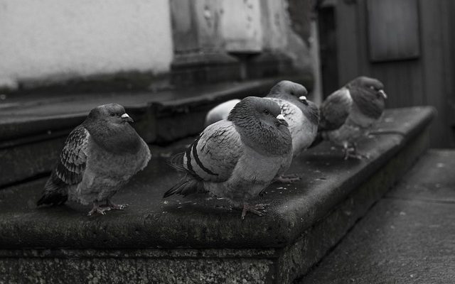 Quelles sont les causes des taches brunes dans l'œil ?