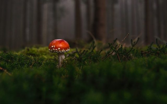 Comment aiguiser une mèche de maçonnerie Mèche de maçonnerie