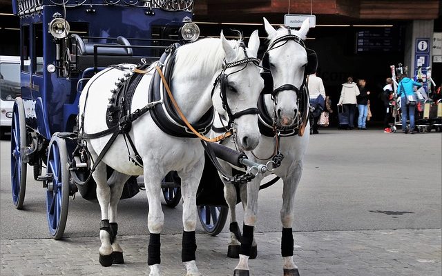 Comment convertir les cotes des chevaux en cotes en cotes.