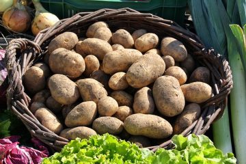 Comment réchauffer de la purée de pommes de terre congelée