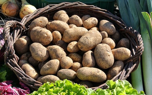 Comment réchauffer de la purée de pommes de terre congelée