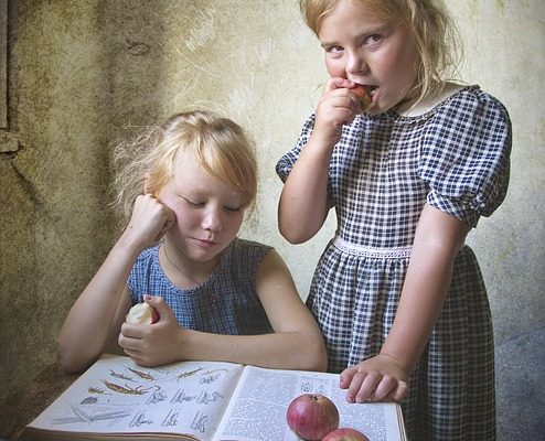 Idées pour les clubs de livres scolaires