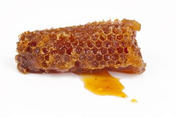 Quels sont les avantages de la Propolis ?