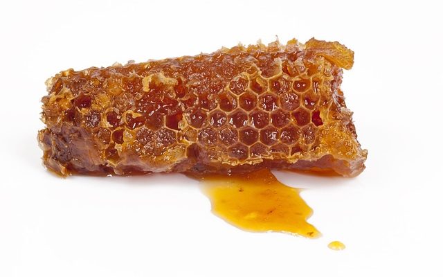 Quels sont les avantages de la Propolis ?