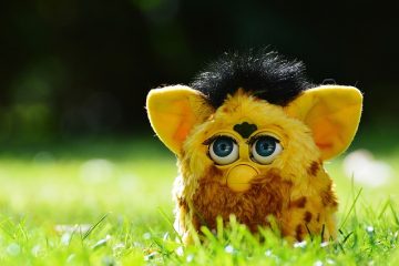 Quels sont les mots et phrases programmés dans My Furby ?