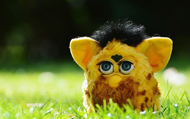 Quels sont les mots et phrases programmés dans My Furby ?