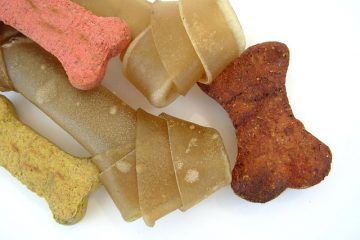 Recettes faciles de biscuits pour chiens