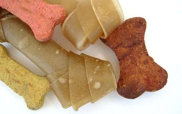 Recettes faciles de biscuits pour chiens