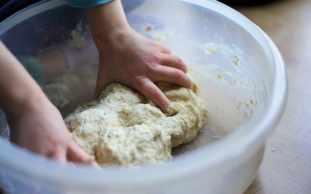 Aliments pour chiens et allergies à la levure