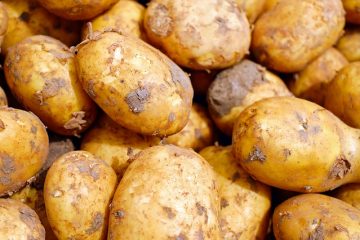 Comment conserver les pommes de terre pelées