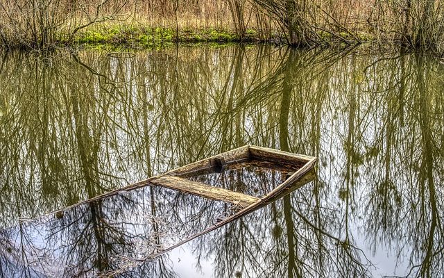 Comment dégager les sous-bois