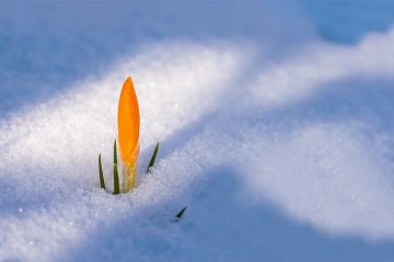 Comment fabriquer votre propre trousse de boules à neige en verre