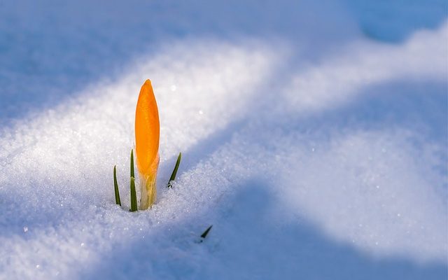 Comment fabriquer votre propre trousse de boules à neige en verre