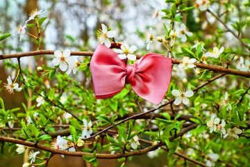 Comment faire un archet de mariage en organza