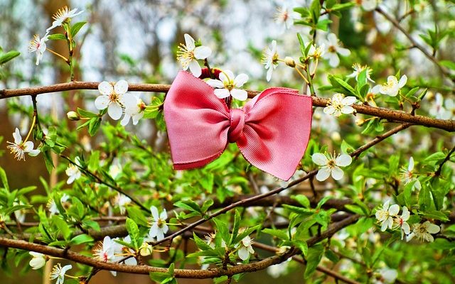 Comment faire un archet de mariage en organza