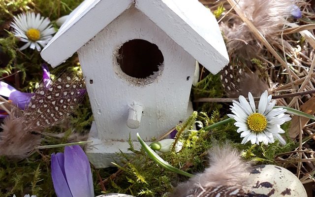 Comment garder la caille des boutons à l'extérieur