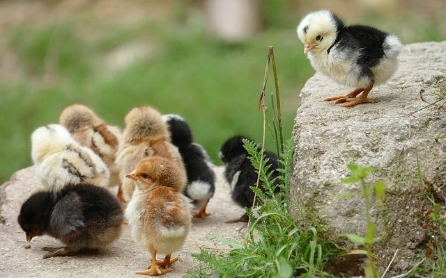 Comment réparer les éraflures sur les talons aiguilles