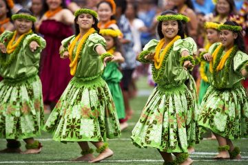 Histoire de jupe d'herbe d'Hawaii d'herbe d'histoire