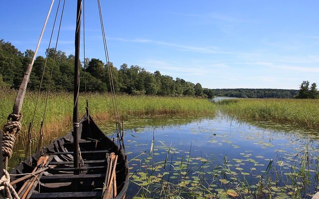 L'héritage viking de la Grande-Bretagne