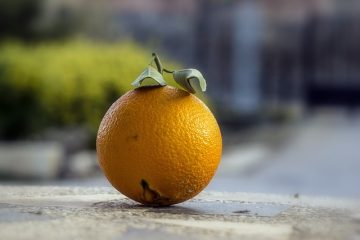 Comment extraire l'acide citrique des fruits