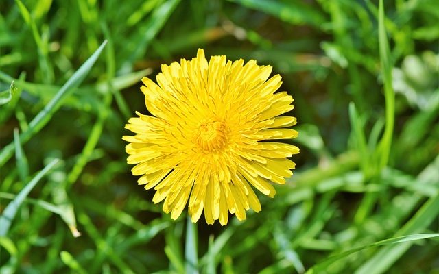 Comment faire de la pâte de farine