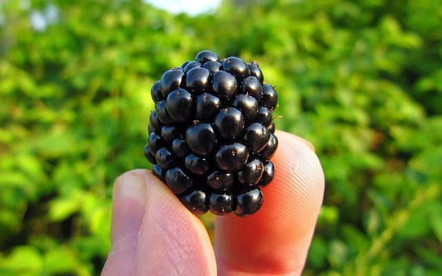 Comment faire des toppers de gâteaux d'image comestibles