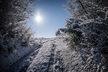 Comment faire du glaçage à faible teneur en gras