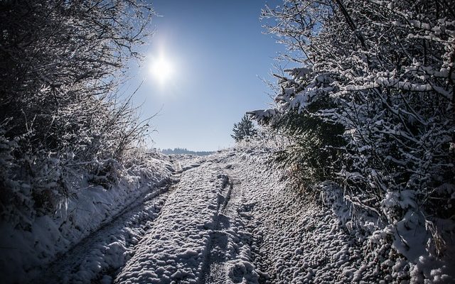 Comment faire du glaçage à faible teneur en gras