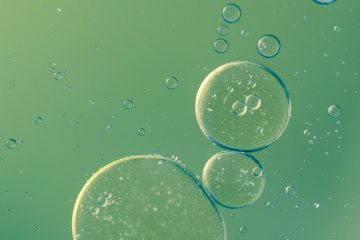 Comment faire un modèle de cellule animale en 2D