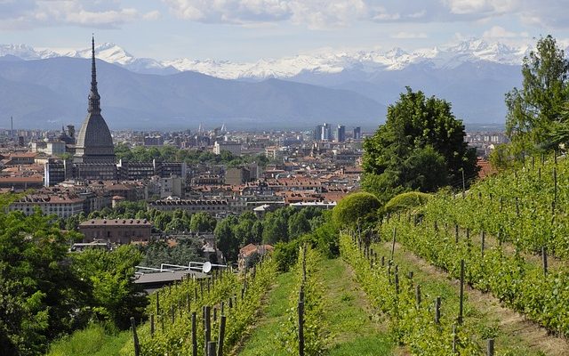 La meilleure façon de se débarrasser d'une taupe