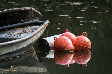 Les avantages et les inconvénients des contenants en plastique