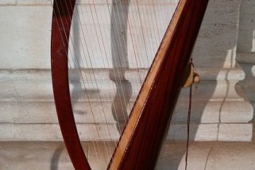 Les différents types de harpes