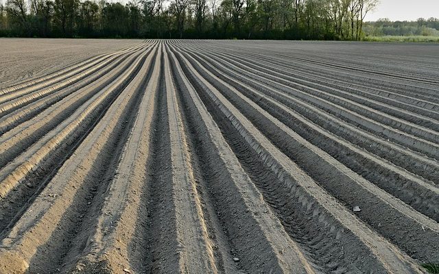 Les effets du traitement silencieux