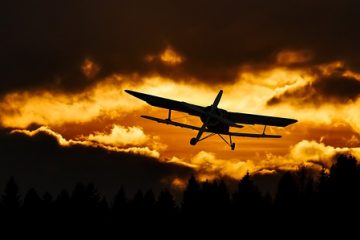 Comment créer des flyers pour un dîner dansant