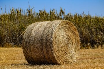 Comment fabriquer des bottes de cow-boy pour les costumes