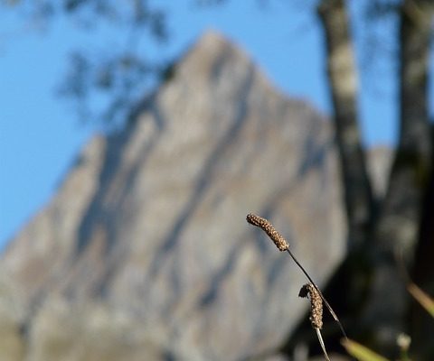 Comment fabriquer des tringles à rideaux à partir de chevilles en bois