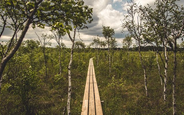 Comment faire une chaise de jardin en bois