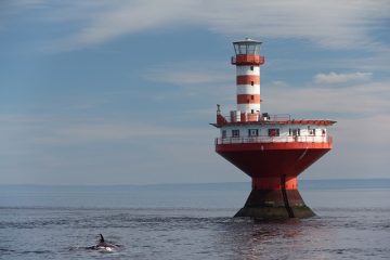 Comment graver à l'aide d'un routeur