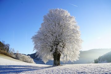 Comment réparer la verrerie en cristal ébréché