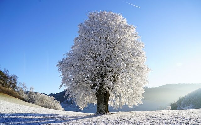 Comment réparer la verrerie en cristal ébréché