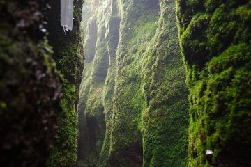 Faits sur les ulcères de la gorge