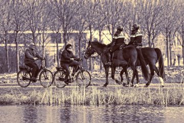 Le coût moyen de l'assurance automobile pour les jeunes de 17 ans.