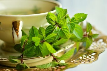 L'huile de menthe poivrée se débarrasse-t-elle des rongeurs ?