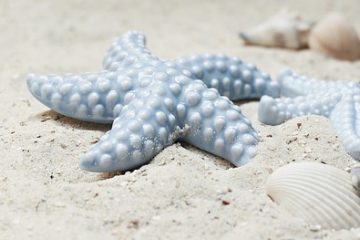 Comment identifier une Chine bleue et blanche