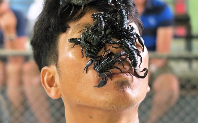 Comment savoir si les hommes scorpion sont amoureux ?