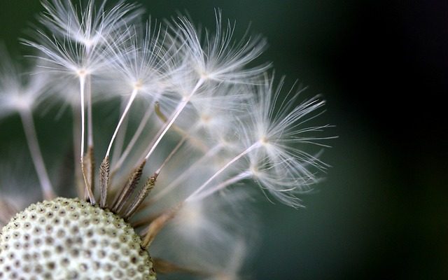 Comment tuer les œufs de vers ronds